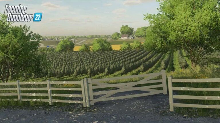Cómo cultivar y cosechar aceitunas en Farming Simulator 23